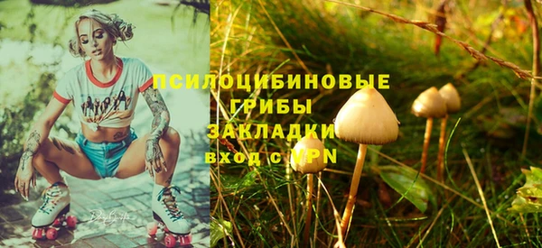 крисы Новокубанск
