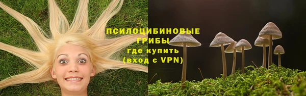 мдпв Нефтекумск