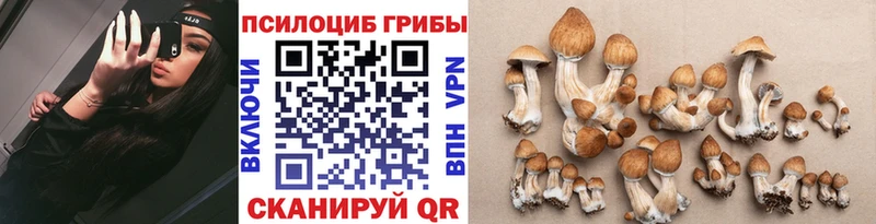 Галлюциногенные грибы прущие грибы  Кукмор 